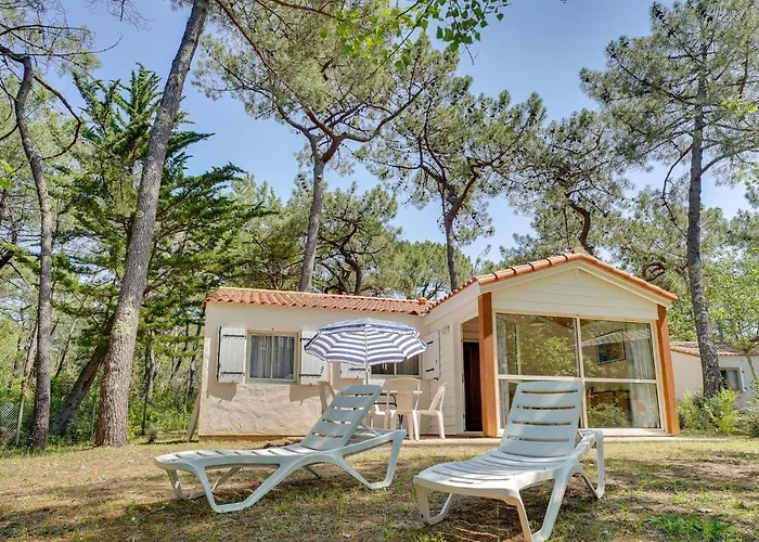 Cozy In * 라포트 쉬르메르