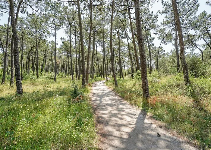 Cozy In Casa vacanze La Faute-sur-Mer
