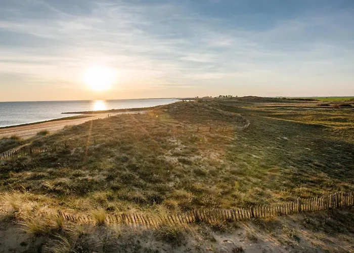 Cozy In 라포트 쉬르메르